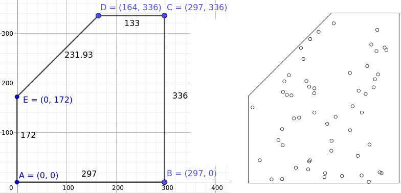 Left: measurements of sunflower bed. Right: illustration of randomly placed sunflowers.